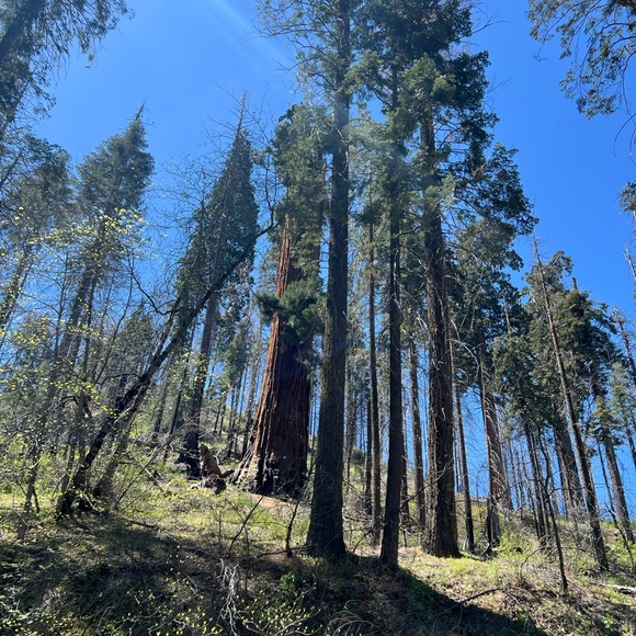 Meet your Posher, Lilian - Picture 1 of 1